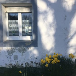 ©duventdansmesvalises - les jonquilles