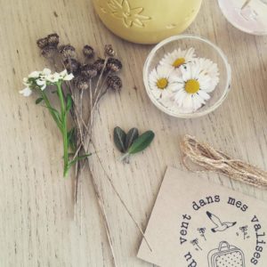 ©duventdansmesvalises - fleurs sauvages