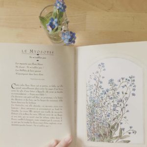 ©duventdansmesvalises - myosotis forget me not