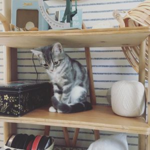 ©duventdansmesvalises - chat d'atelier