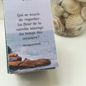 ©duventdansmesvalises - carotte sauvage et autres ombelifères