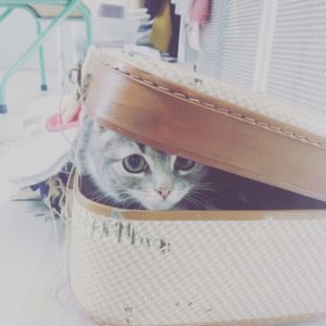 ©duventdansmesvalises - chat d'atelier