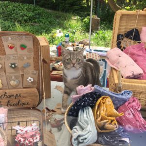 ©duventdansmesvalises - le chat mimosa
