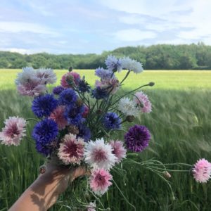 ©duventdansmesvalises - nature providence