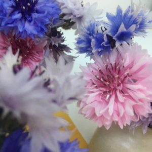 ©duventdansmesvalises - les bleuets