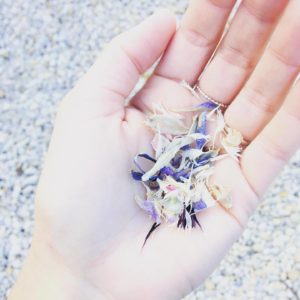 ©duventdansmesvalises - confetti de fleurs françaises