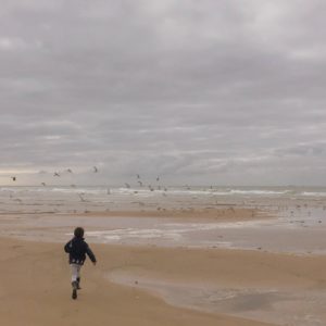 lenvol-au-cap-blanc-nez-grand-site-de-france-des-deux-caps-©duventdansmesvalises