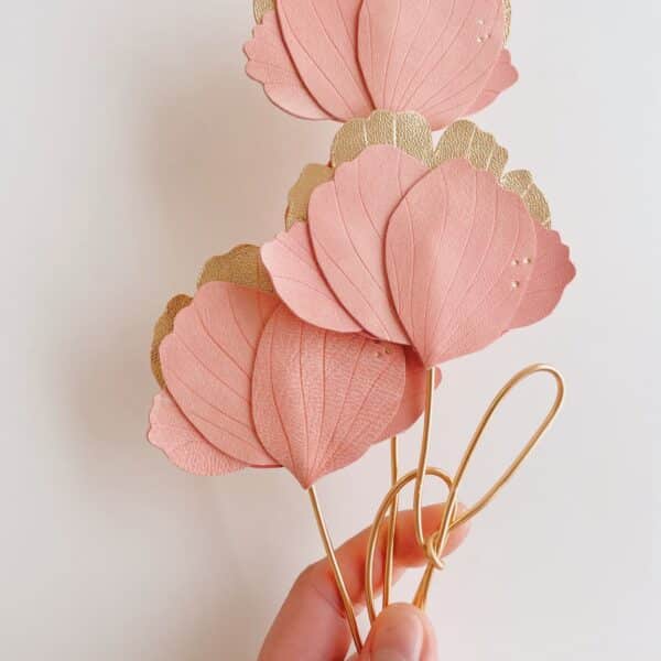 Pivoine, cadeau fête des mères