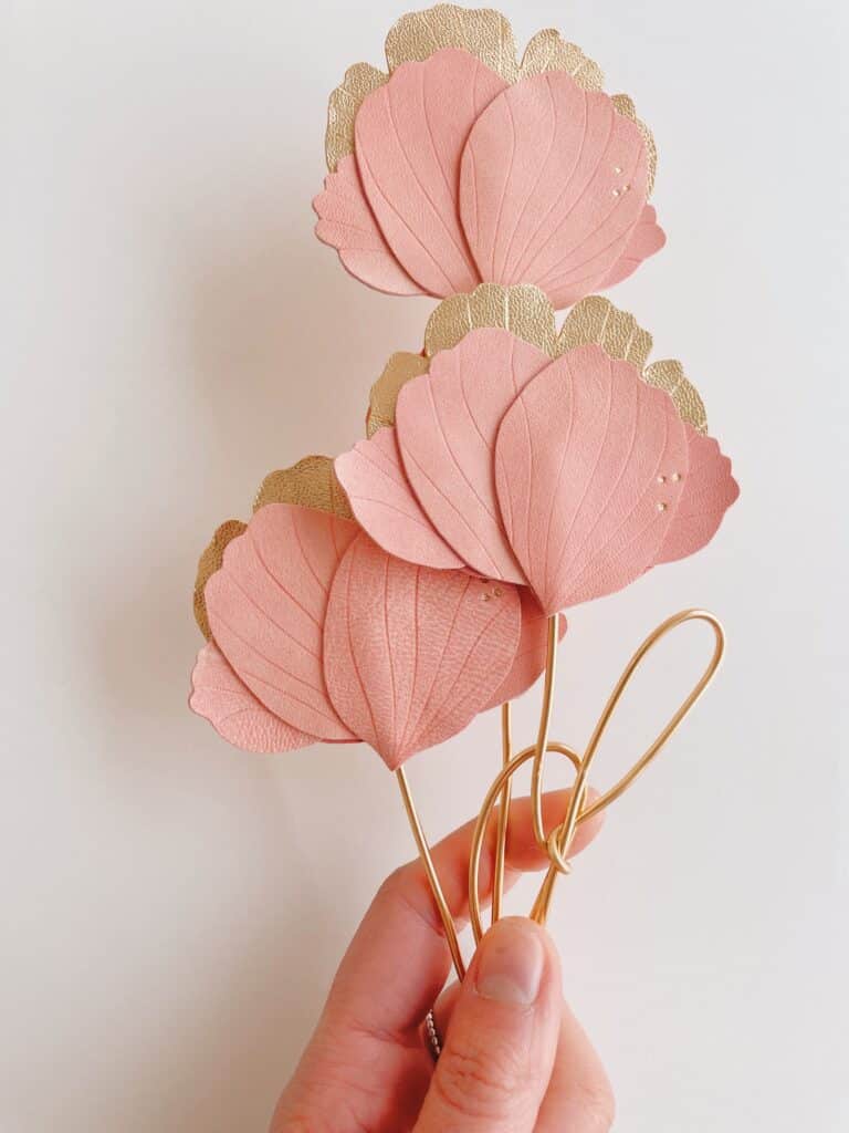 Pivoine, cadeau fête des mères